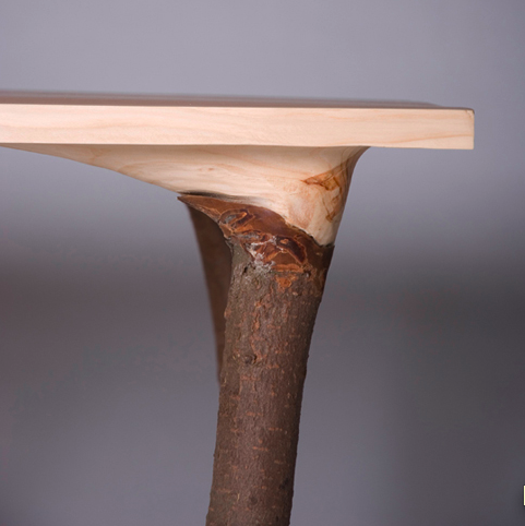 'Fragments of Nature' Table (detail) by Lex Pott